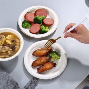 Biodegradable plate tray for food packing plates