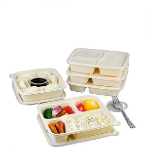 biodegradable rice salad soup noodle ramen disposable bowls with lid