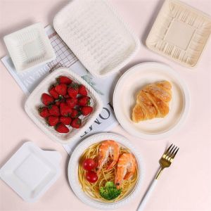 Eco friendly plates disposable biodegradable divider