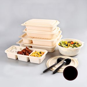 Box Packaging Food For Lunch Kids Leakproof 5 Compartment Boxes