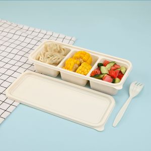 Container Lunch Box Set Insulated Bento Salad Packaging Transparent Food Rou
