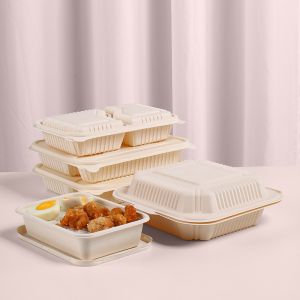 Container Lunch Box Set Insulated Bento Salad Packaging Transparent Food Rou