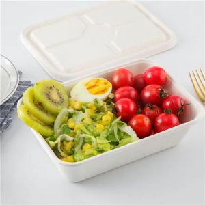 packaging containers Biodegradable food container 3 box lunch set