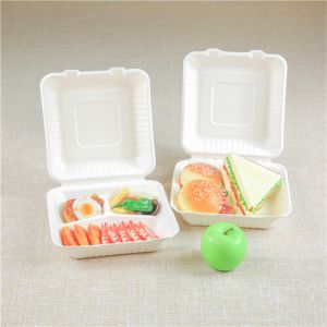 sugarcane bowls plates cups square box bagasse food container manufacturers