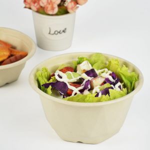 Cheesy Bowls Sugarcane Salad Biodegradable Soup Bowl With Lid