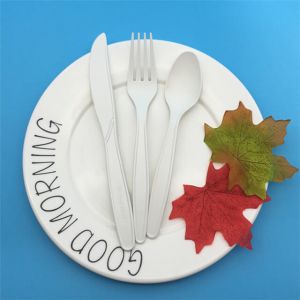 Cheap Spoon Fork Disposable Sets 100% Natural Biodegradable Cutlery