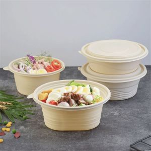 Disposable Bowl For Pets Salad With Lid Take Away Biodegradable