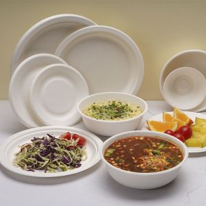 plastic bowls with lids bagasse restaurant supply compostable bowl