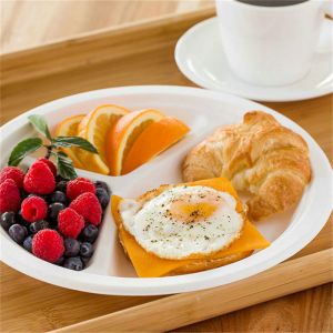 compostable plates 9 bagasses 500c bagasse plate 6 inch