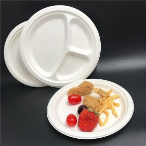 to go plate dixie bagasses 9 in bagasse plates heavy duty