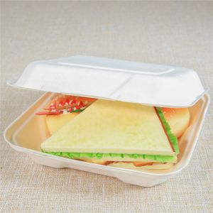 take out containers  fivber bagasse 6 hl bagasses blend hinged large container