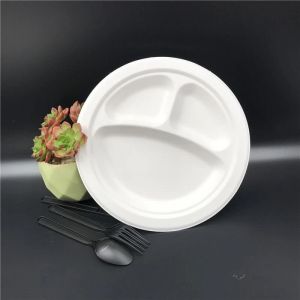 cheap sandwich platters portland bagasses plate sugarcane plates bagasse