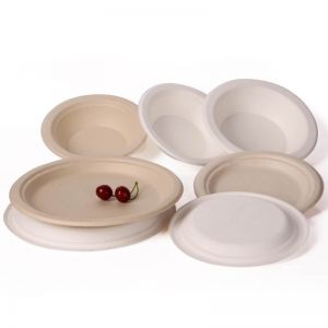 small food tray where are hefty bagasses plate sold tellurus bagasse plates