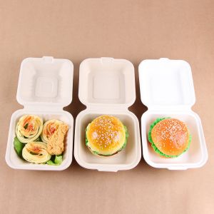 food containers with lids 2 piece sugarcanes restaurant sugarcane container with compartments 9 x 9 in