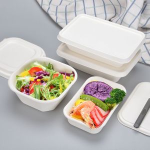 togo boxes sugars canes 3 compartment to go container,sugar cane clamshell containers food