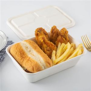 online restaurant supply 100% compostable sugars canes fiber hinged container sugar cane clam shell two containers