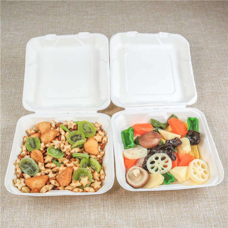 Bagasse food container