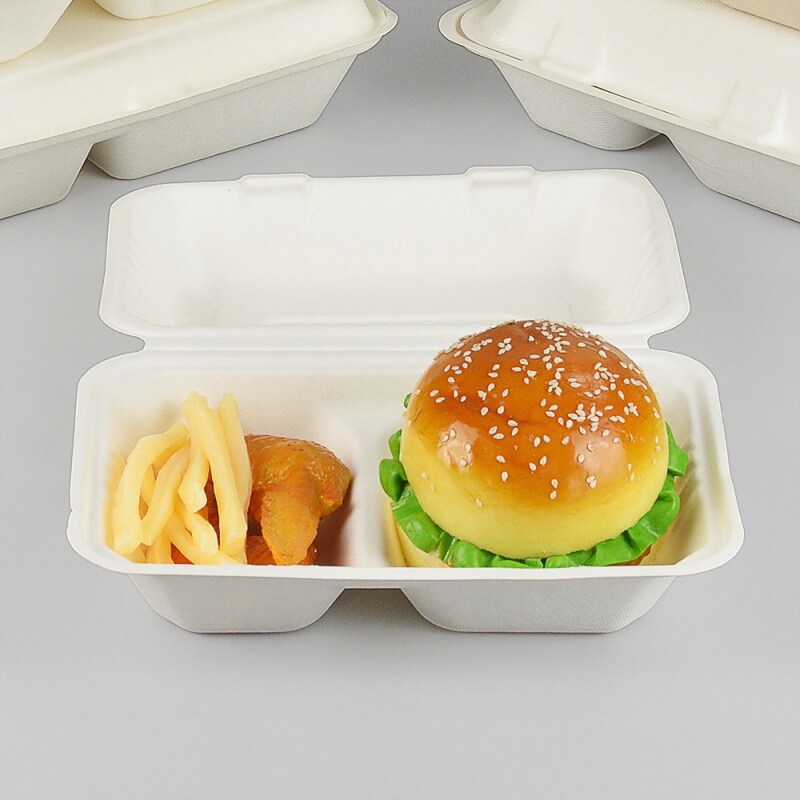 Bagasse food container
