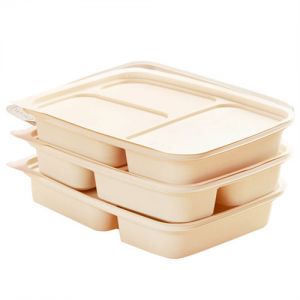 biodegradable food container compostable clamshells containers for food packaging