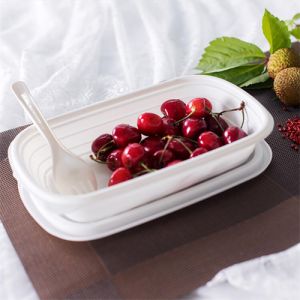 Restaurant Food Packaging Biodegradable Clamshell Container Sugarcane Disposable Lunch Box