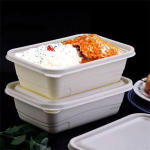 6 Compartment Disposable Bento Box Customized Pp Plastic 500Ml American Square Food Container 3 Lunch