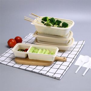 Biodegradable Tableware Manufacturers In Cornstarch Food Container Wholesale Sugarcane Lunch Box