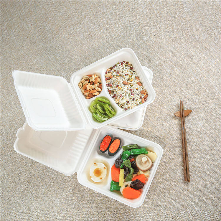 Bagasse food container