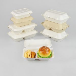 Bagasse Food Container Box Tray Supplier Packaging Manufacturers