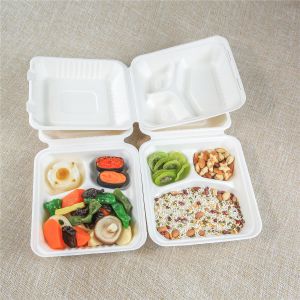 Takeaway Bagasse Pricelist Meal Tray Factory Wholesale Boxes