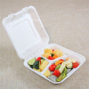 Bagasse Lunch Box Production Line Tray Pricelist Disposable