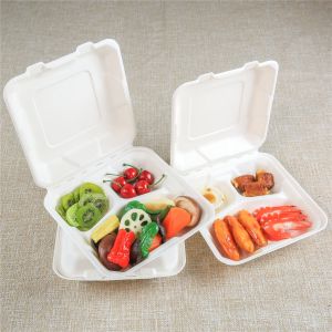 Bagasse Food Box Biodegradable 3 Compartments Food Container Compostable Pricelist