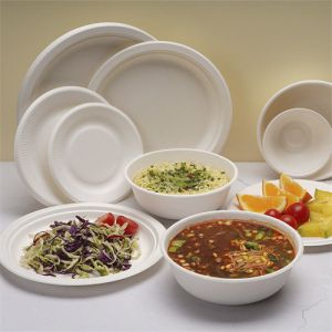 Sugarcane Bagasse Tableware Bowls 32 Oz Bowl 500 Plates And