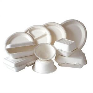 Disposable China Plates Fast Food Serving Trays 10 Inch Square