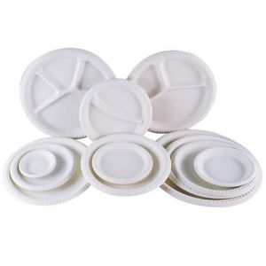 Plate Of Food Rustic Disposable Plates China Like