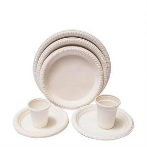 Disposable Plastic Christmas Plates Bagasse Plate For Wedding