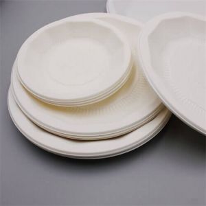 Chinese Food Container Plate Oval Disposable Plates 6 Dessert