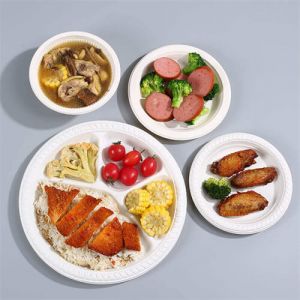 Deep Plate Plastic Disposable Plates Bulk Sturdy Dinner