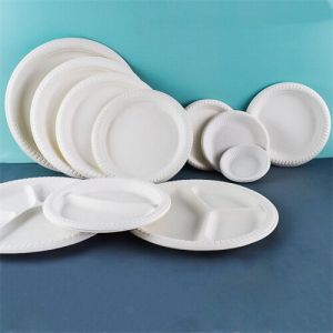 Elegant Wedding Disposable Plates Eco Friendly For Snack Trays