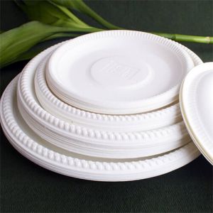Square Plates Disposable China Compostable