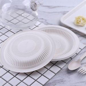 Disposable Divided Plates Eco Friendly Plate Of Mexican Food