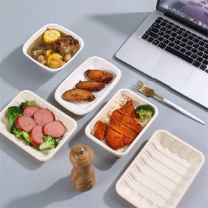 Biodegradable Plates Manufacturers In Walmart Disposable Chinese Food Combination Plate