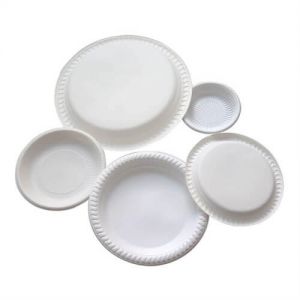 Disposable Dessert Plates Pie Food Plate In Spanish