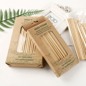 Grass Drinking Straw Wholesale Biodegradable Disposable Reed Straws