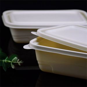 Food Service Containers Bagasse Packaging Upscale Disposable Dinnerware