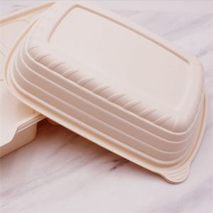 Lunch Food Containers Takeout Wholesale Compostable Tray