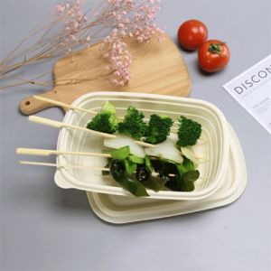 3 Compartment Premium Bagasse Trays Clamshell Containers Wholesale Ecoware Dinnerware