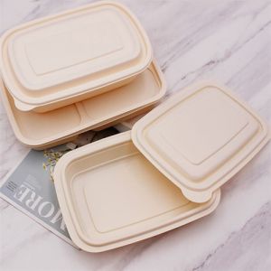 Food Containers With Attached Lids Eco Clamshell Lunch Trays For School