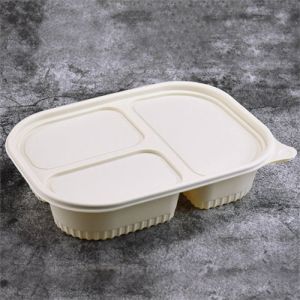 Plastic Food Containers With Lids Eco Friendly Disposable Compartment Trays