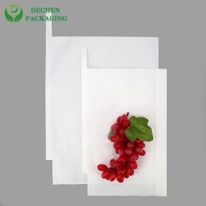 Grape Fruit Biodegradable 18*28 30*20 Cm Mango Guava Paper Bag