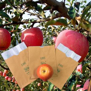Food Grade Apple Protecting On Sales Fruit Growing Packaging Paper Bag